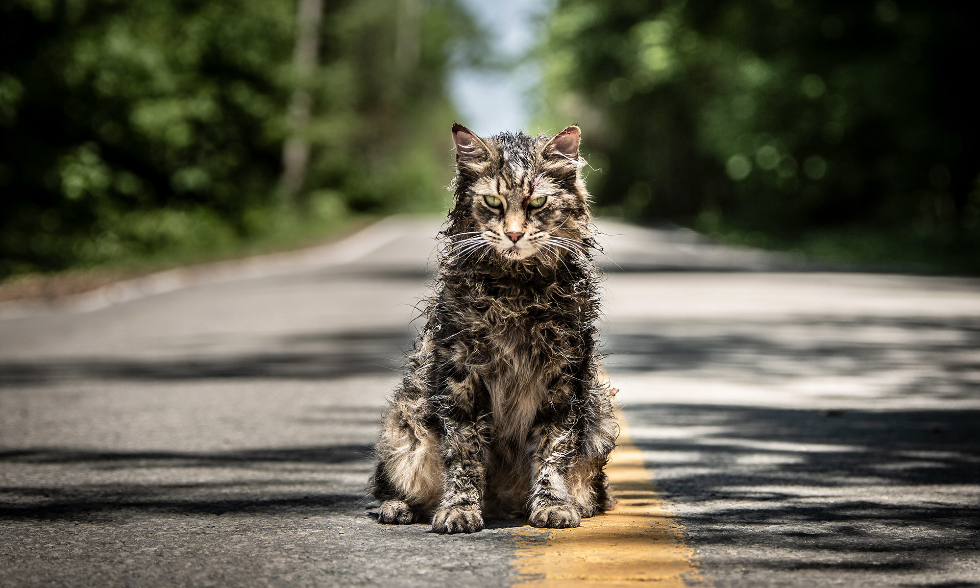 Çocukluk travmaları mezardan çıktı